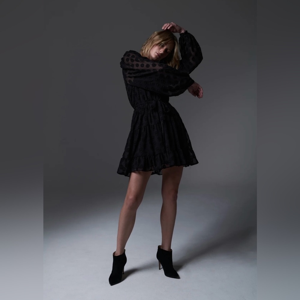 Le Superbe DEE DEE DRESS - Size 4